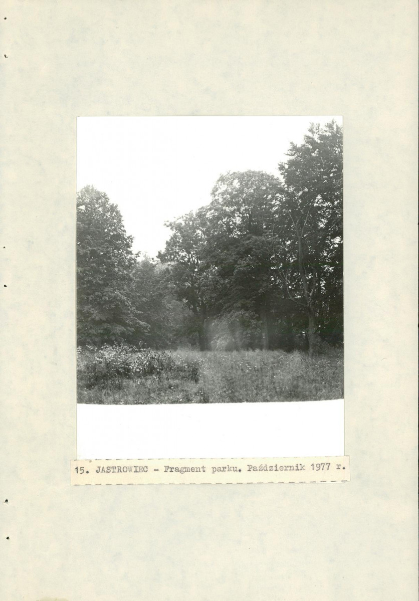 Ewidencja parkowa, skan nr 33