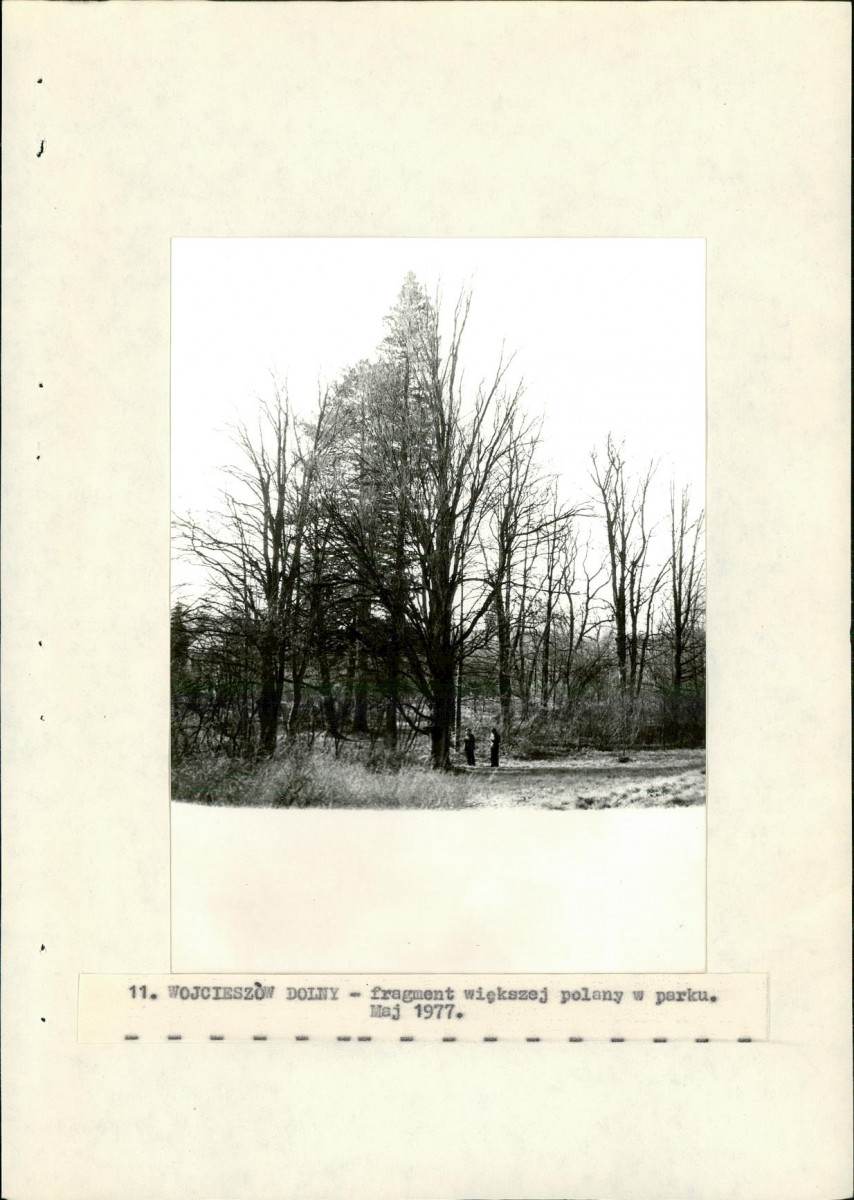 Ewidencja parkowa, skan nr 30