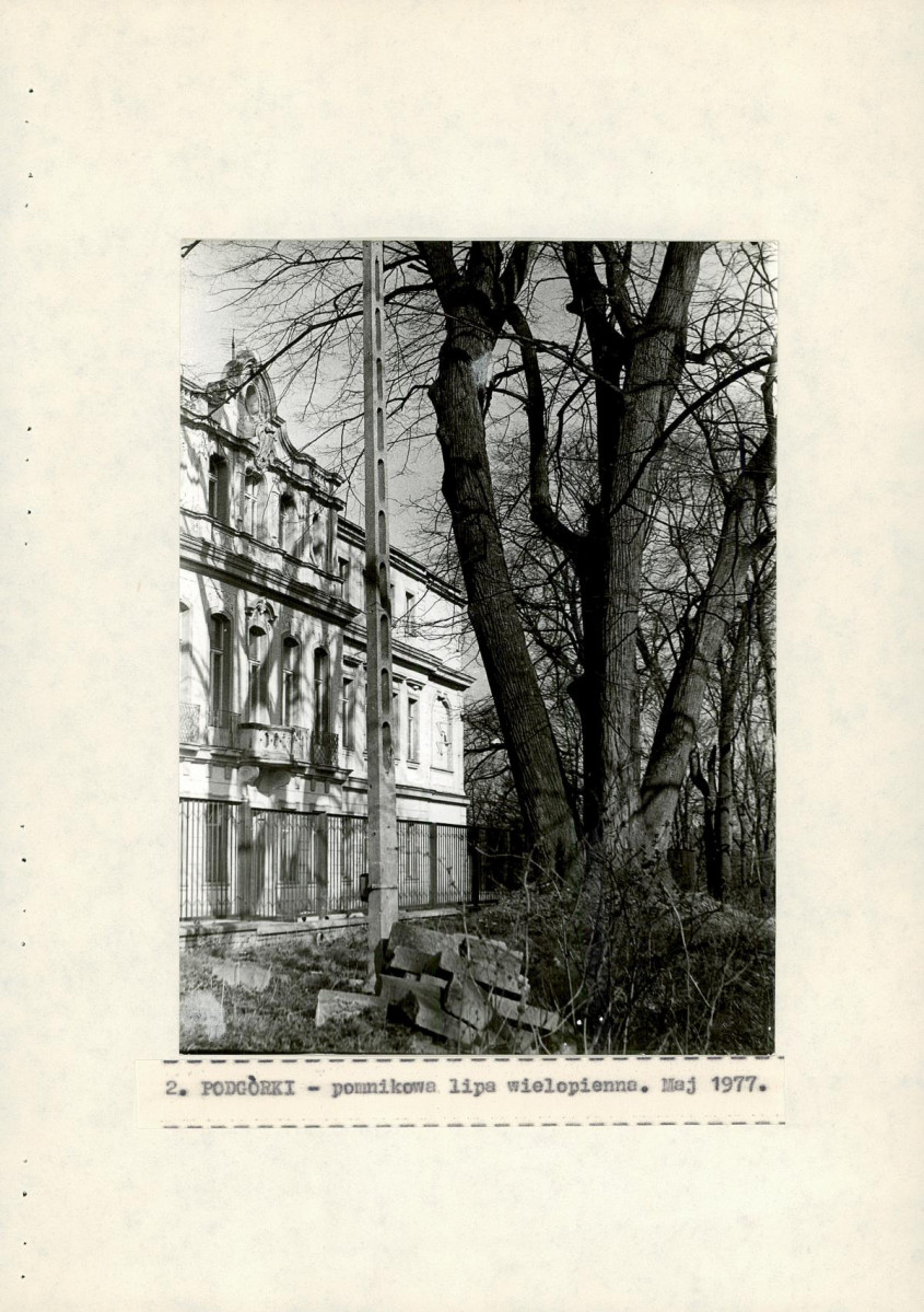 EP - Ewidencja parkowa, skan nr 26