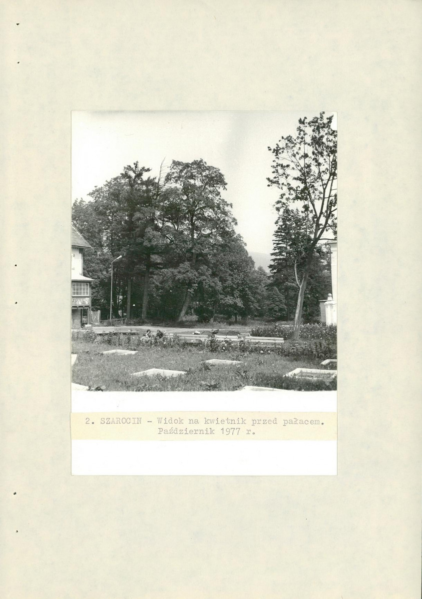 Ewidencja parkowa, skan nr 31