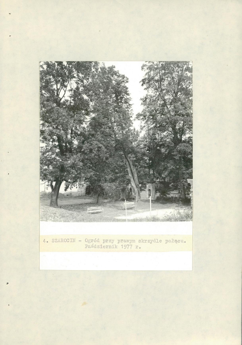Ewidencja parkowa, skan nr 33