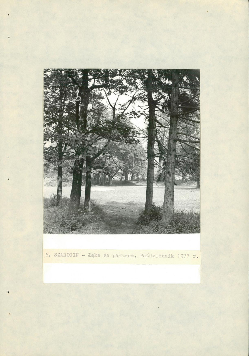 Ewidencja parkowa, skan nr 35