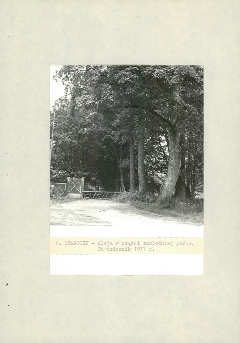 Ewidencja parkowa, skan nr 38