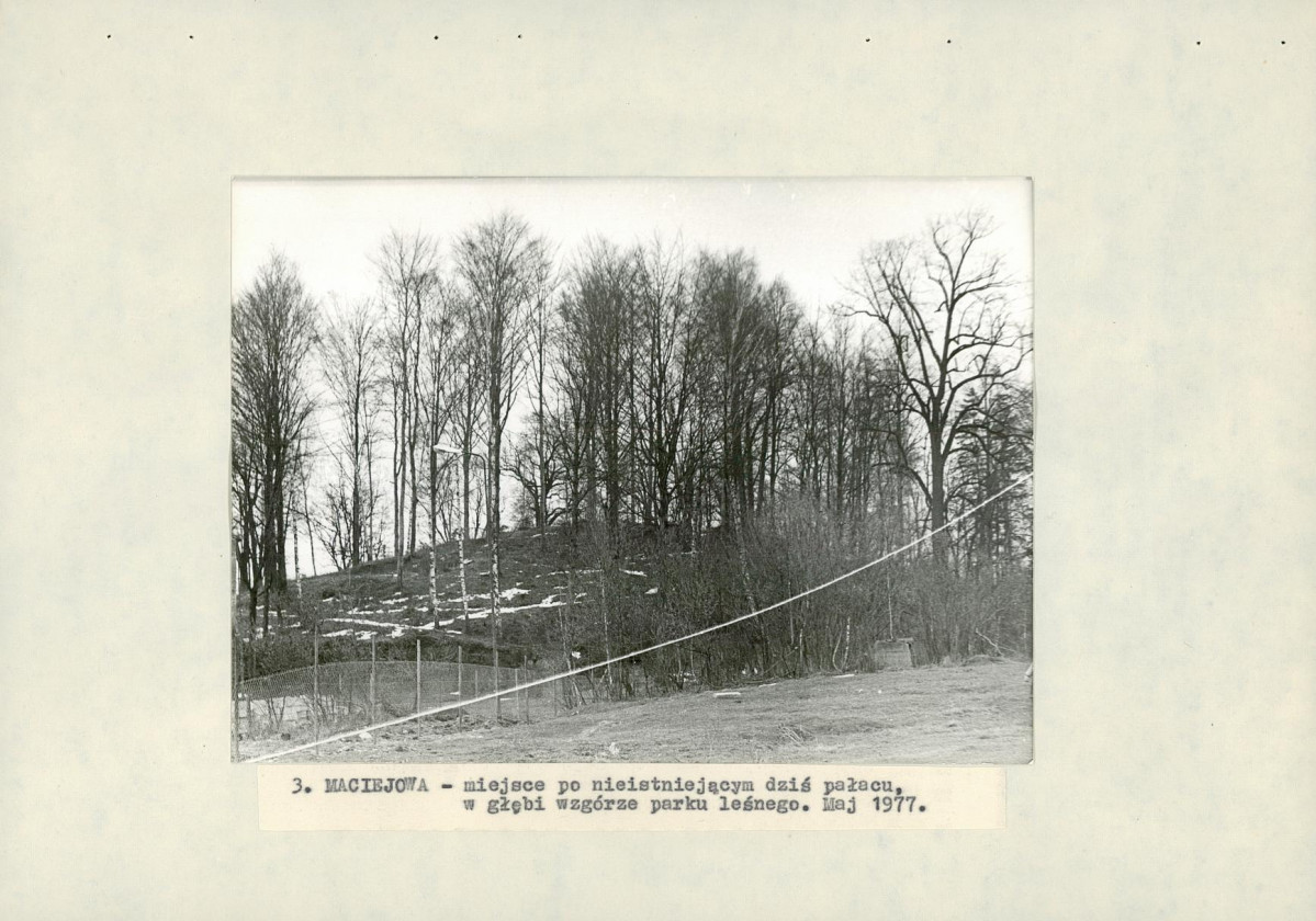 Ewidencja parkowa, skan nr 24