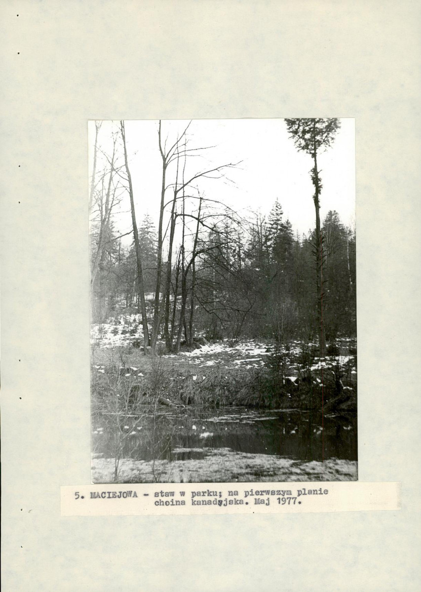 Ewidencja parkowa, skan nr 26