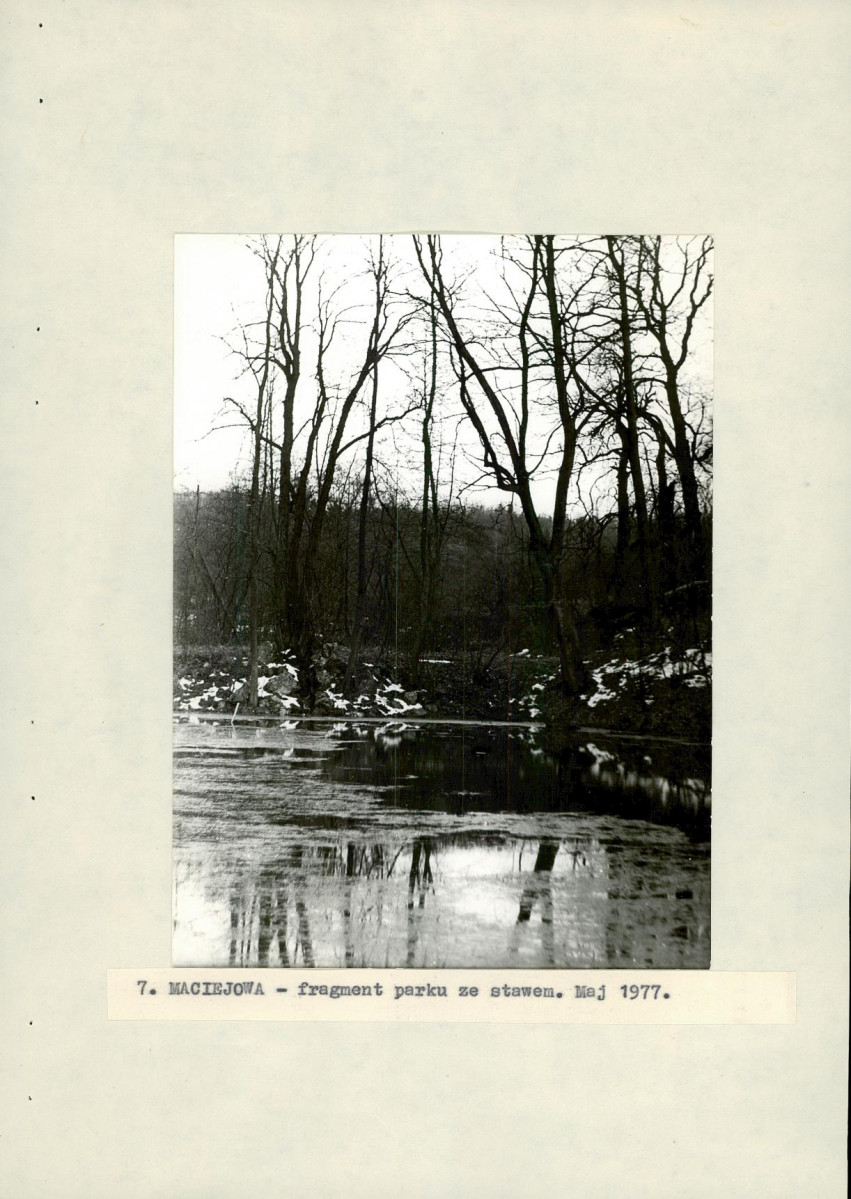 Ewidencja parkowa, skan nr 28