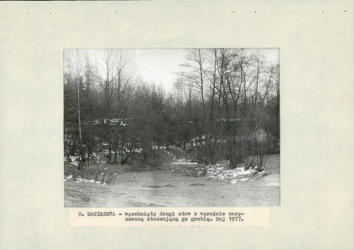 Ewidencja parkowa, skan nr 30