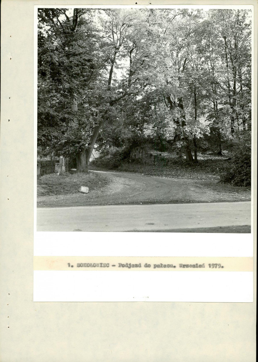 EP - Ewidencja parkowa, skan nr 19