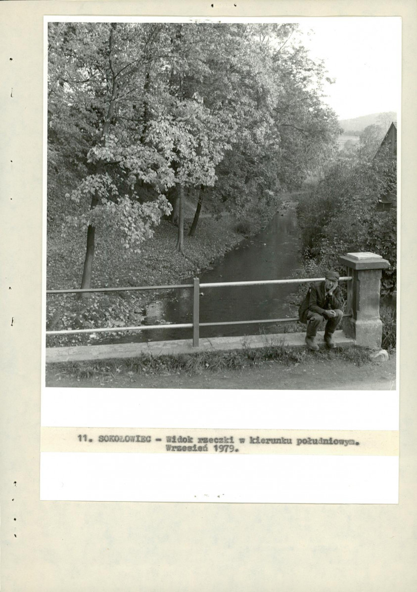 EP - Ewidencja parkowa, skan nr 29