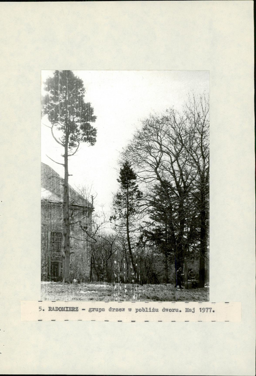 Ewidencja parkowa, skan nr 18