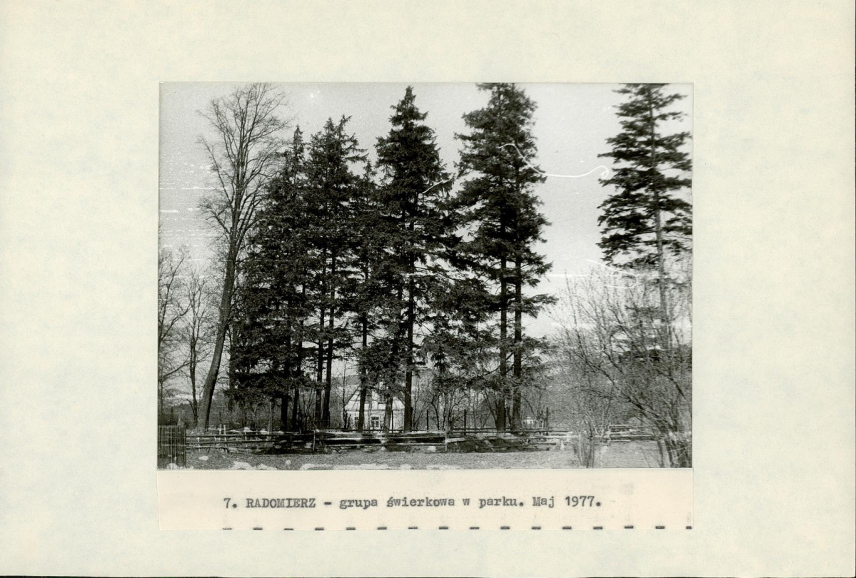 Ewidencja parkowa, skan nr 20