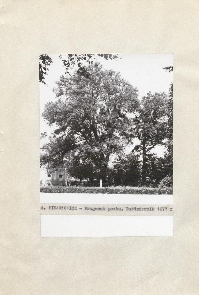Ewidencja parkowa, skan nr 24
