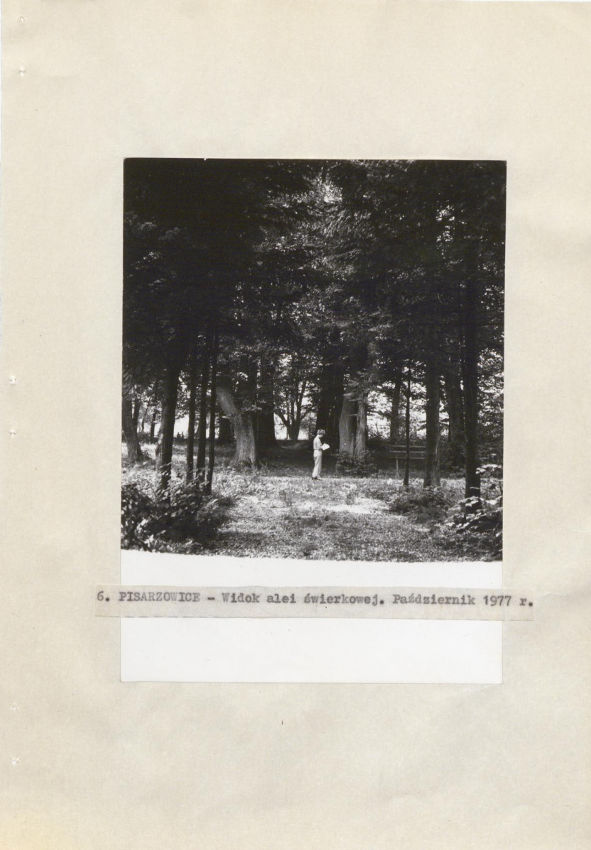 Ewidencja parkowa, skan nr 26