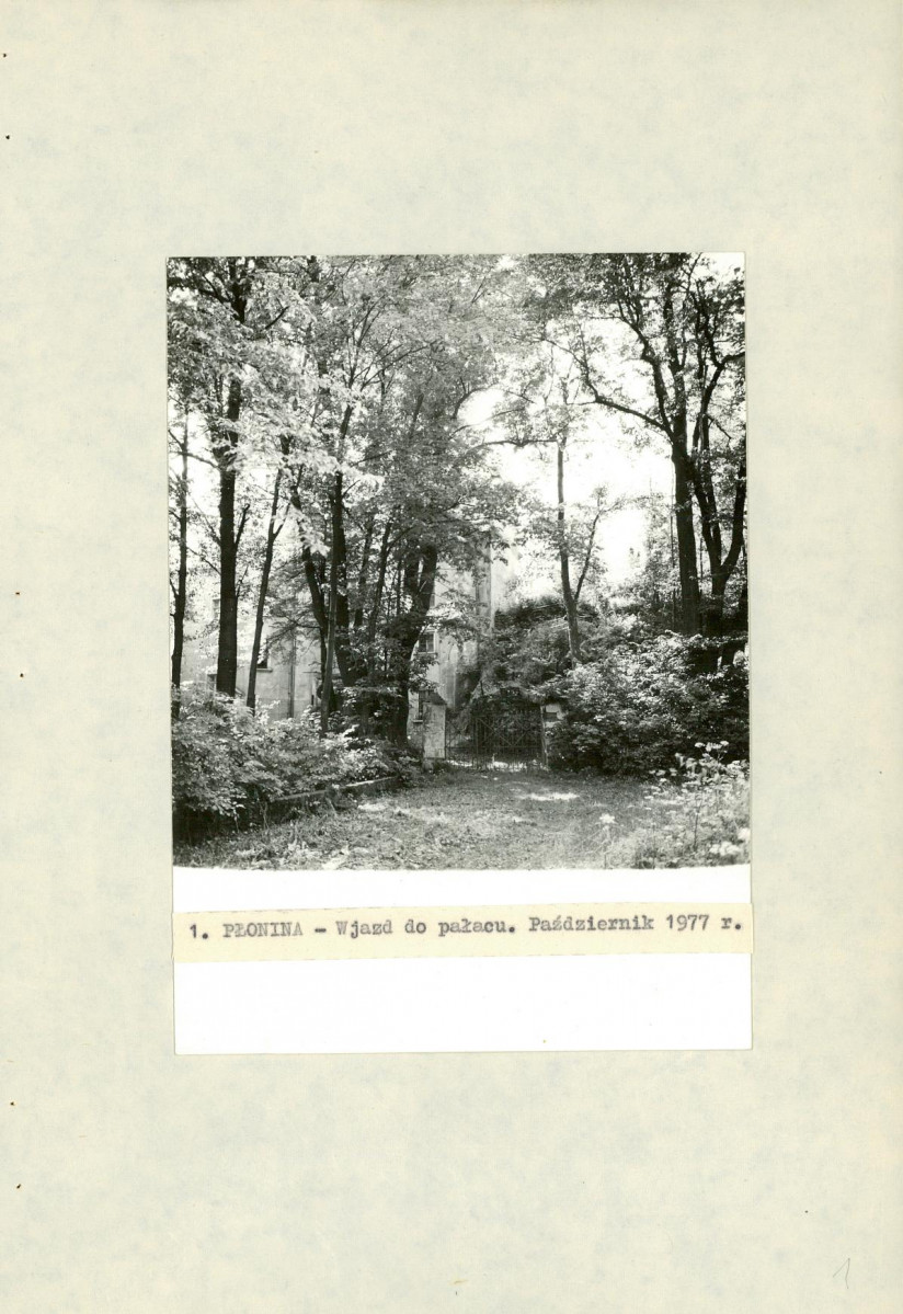 Ewidencja parkowa, skan nr 25