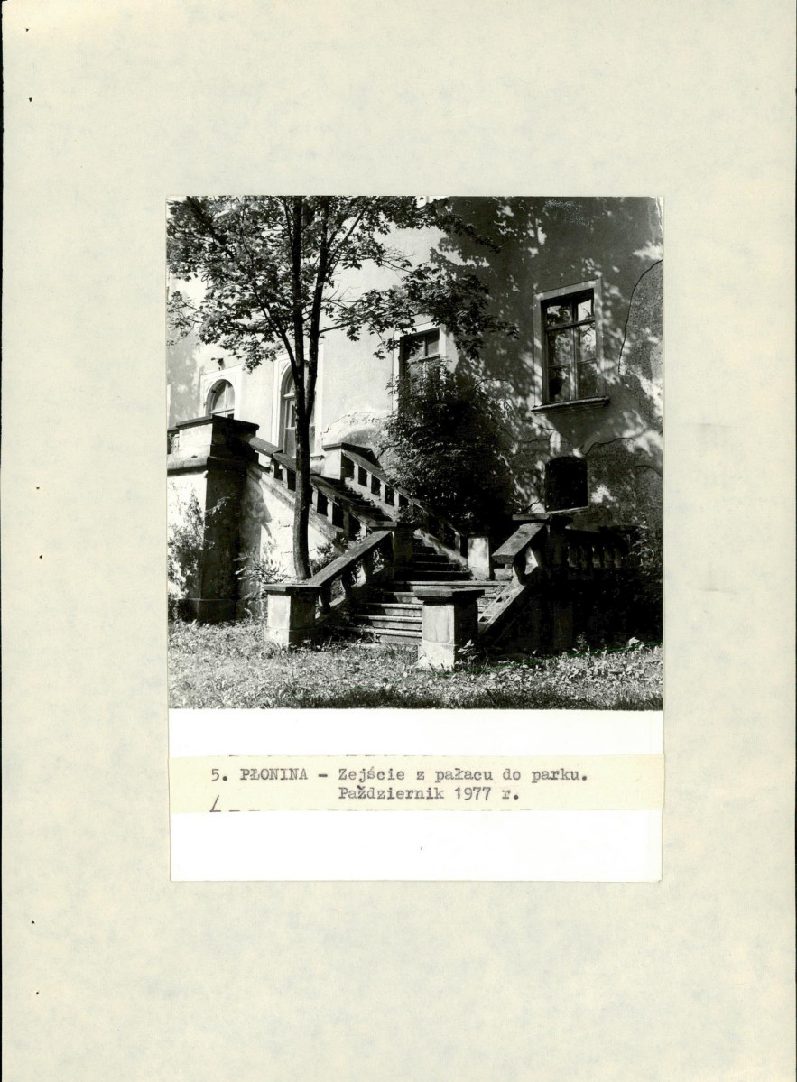 Ewidencja parkowa, skan nr 29