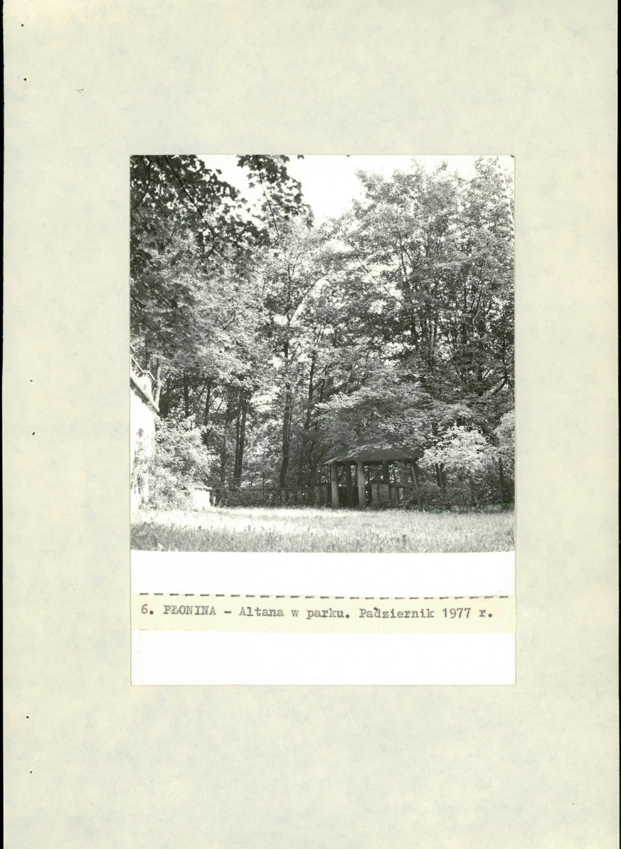 Ewidencja parkowa, skan nr 30