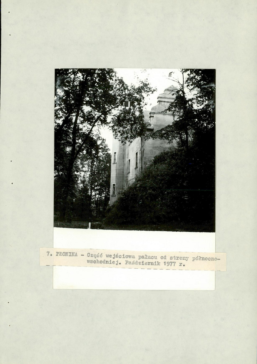 Ewidencja parkowa, skan nr 31