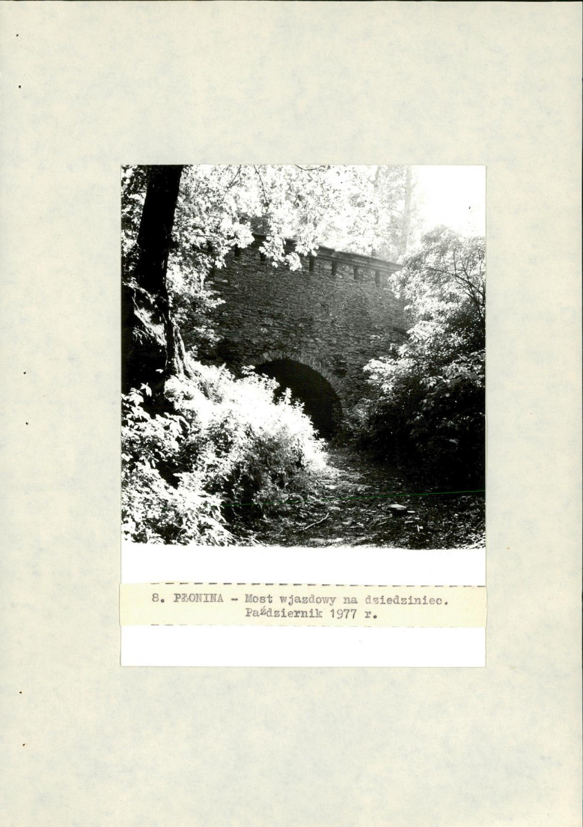 Ewidencja parkowa, skan nr 32