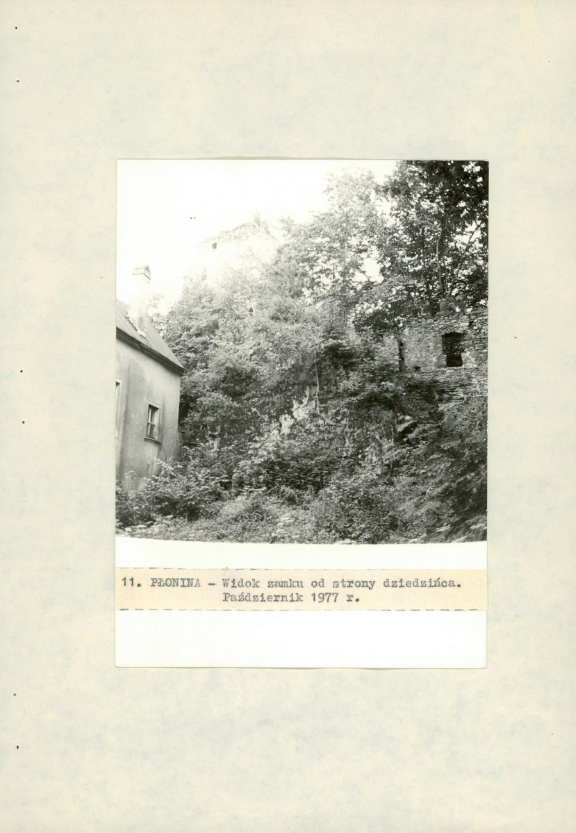 Ewidencja parkowa, skan nr 35