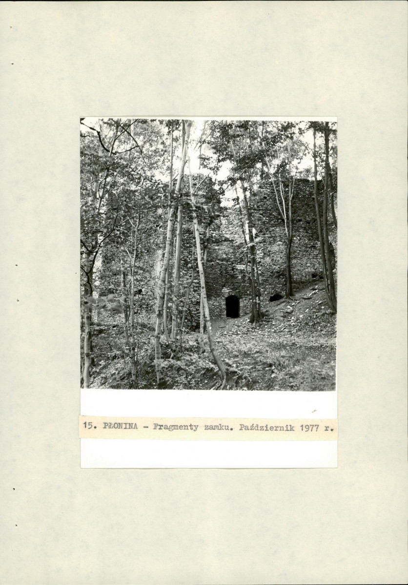 Ewidencja parkowa, skan nr 39