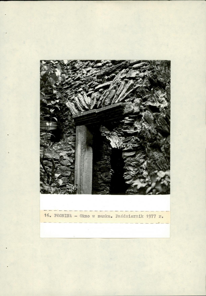 Ewidencja parkowa, skan nr 40