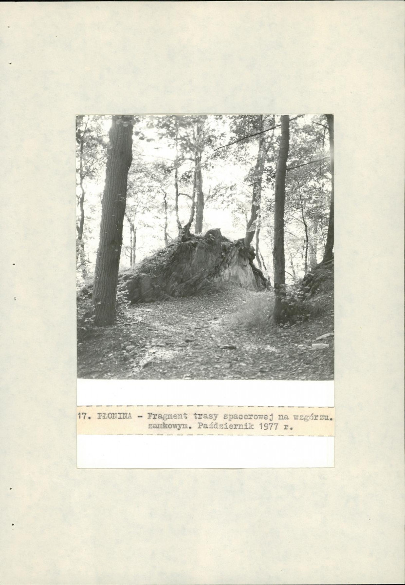 Ewidencja parkowa, skan nr 41