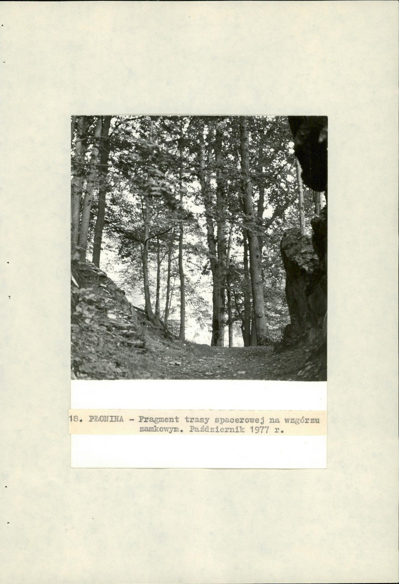 Ewidencja parkowa, skan nr 42