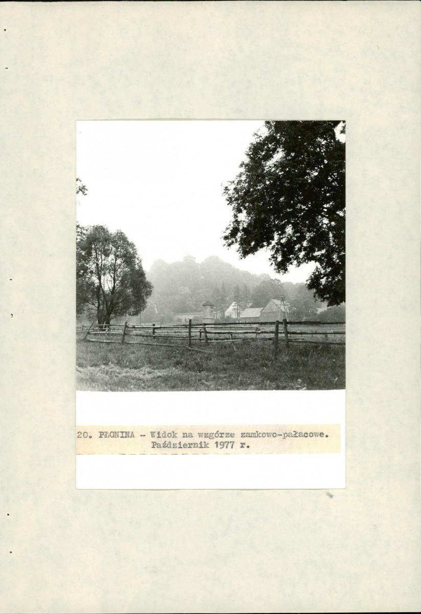 Ewidencja parkowa, skan nr 44