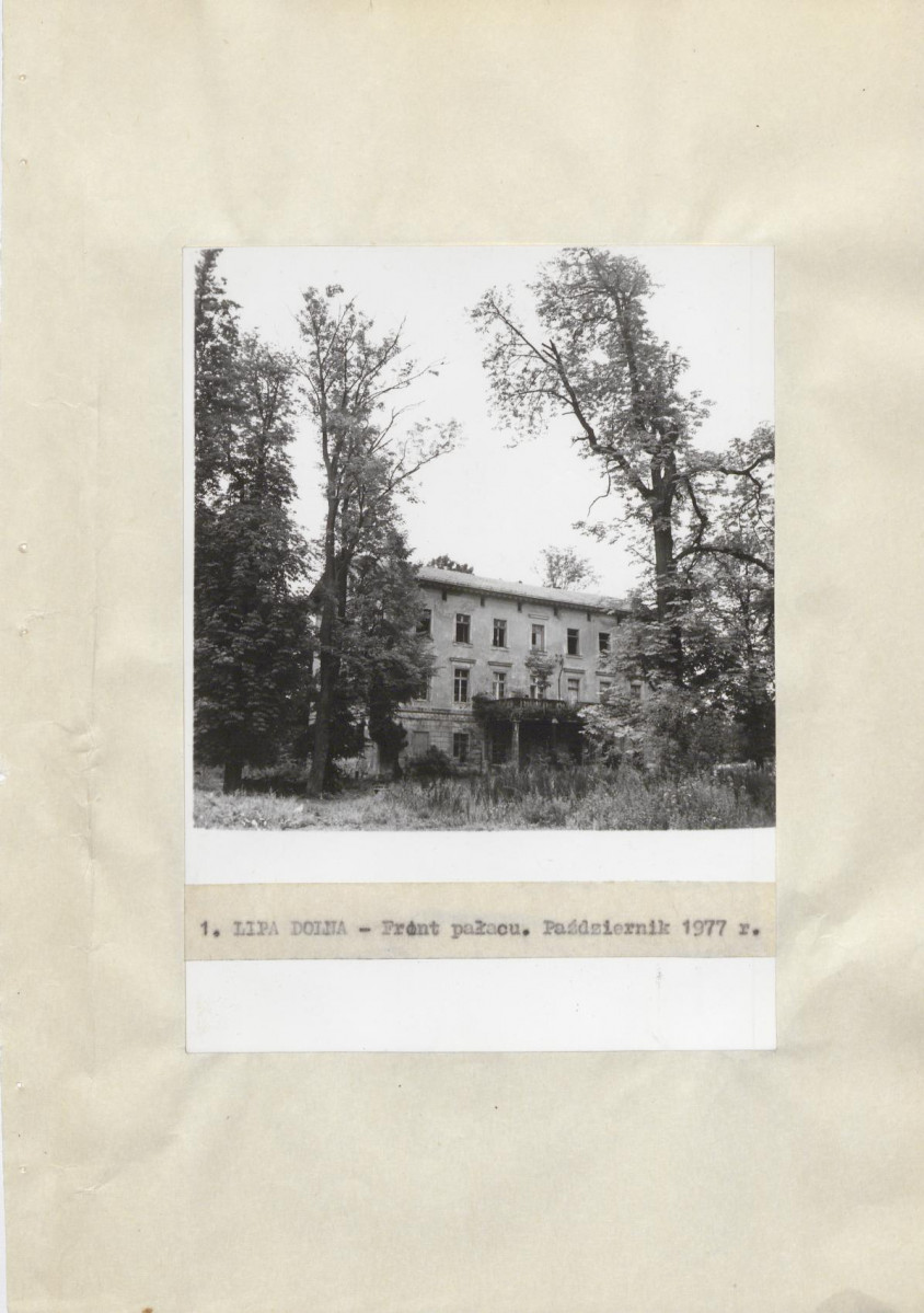 Ewidencja parkowa, skan nr 21