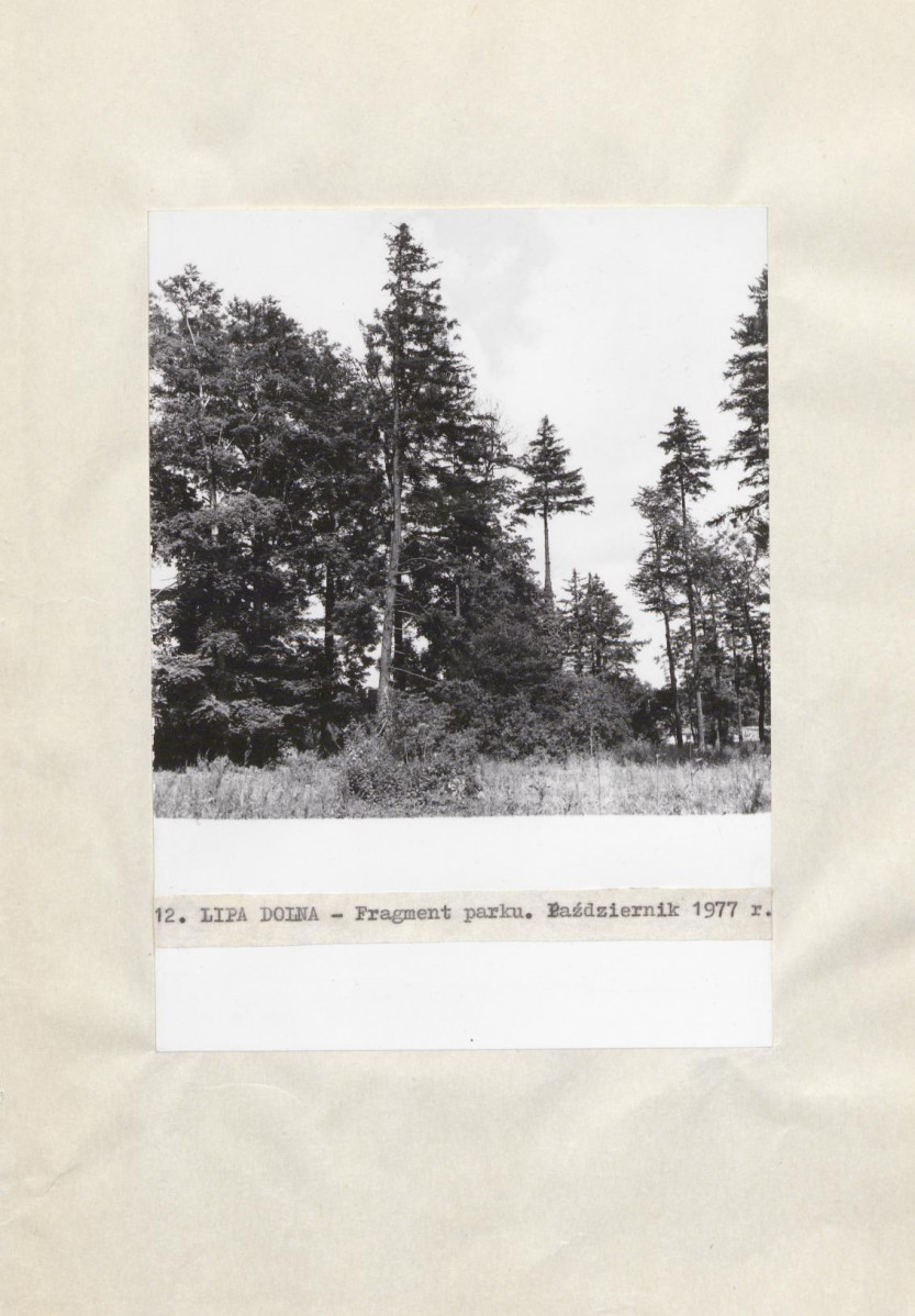 Ewidencja parkowa, skan nr 32