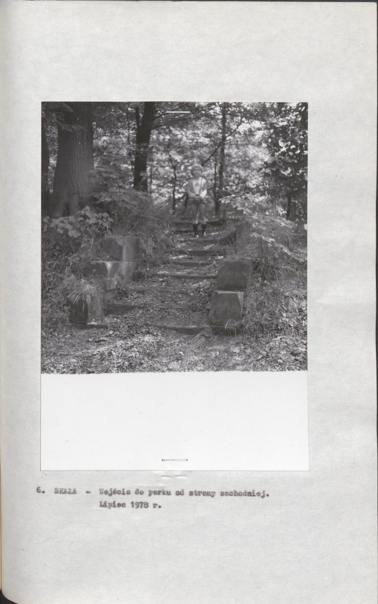 Ewidencja parkowa, skan nr 24
