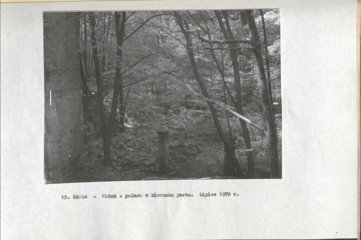 Ewidencja parkowa, skan nr 30
