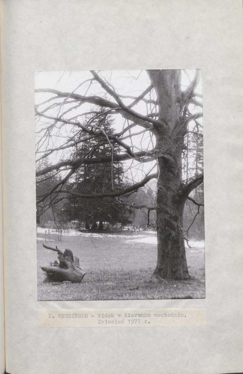 Ewidencja parkowa, skan nr 22