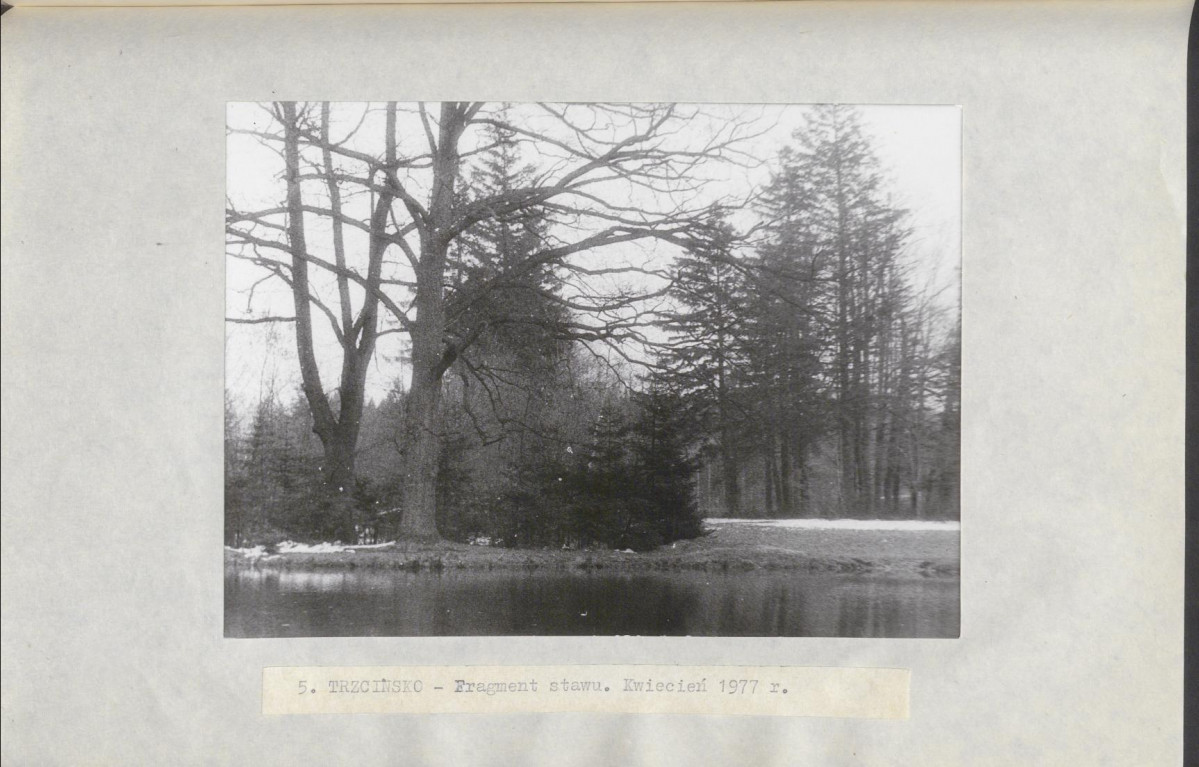 Ewidencja parkowa, skan nr 25