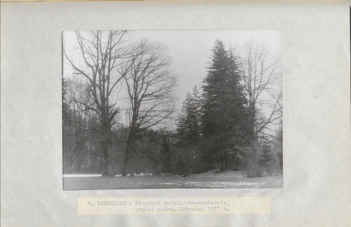 Ewidencja parkowa, skan nr 26