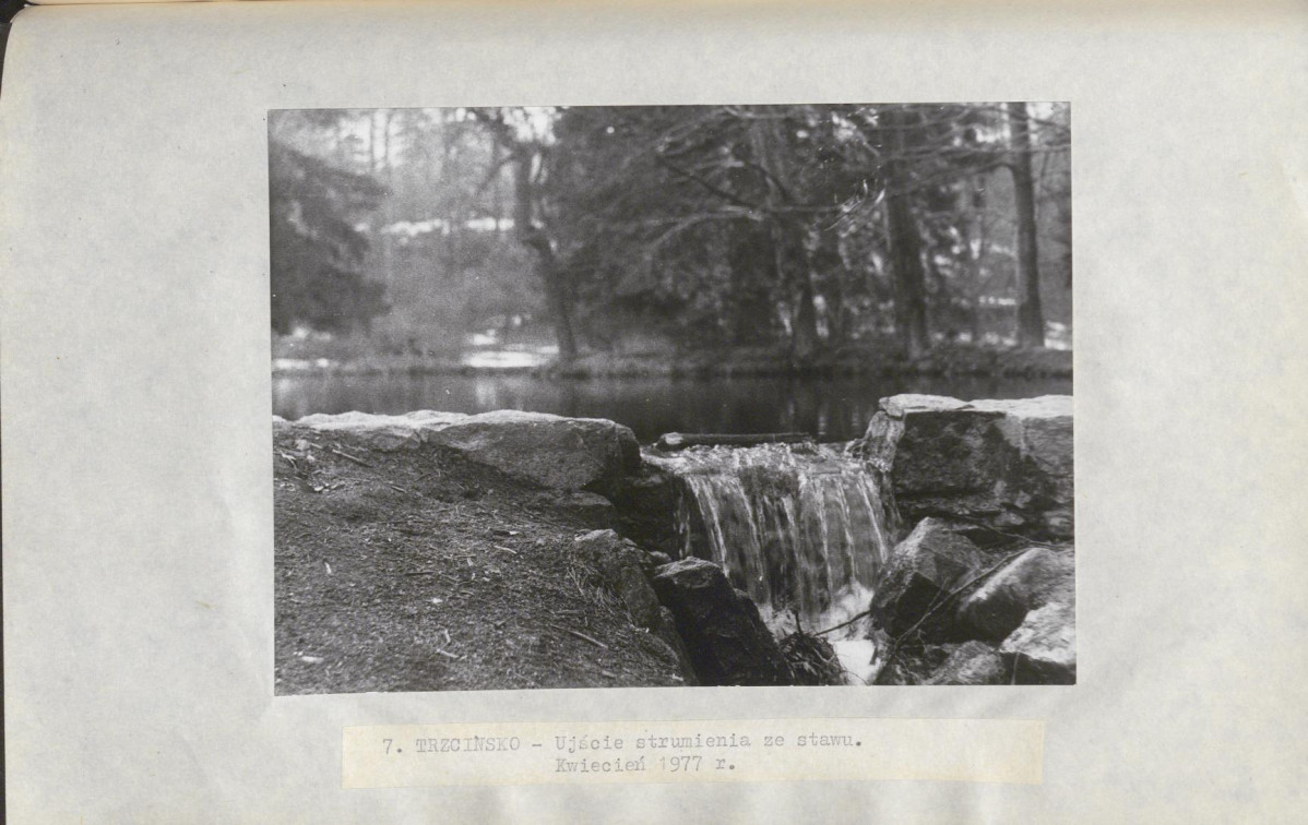 Ewidencja parkowa, skan nr 27