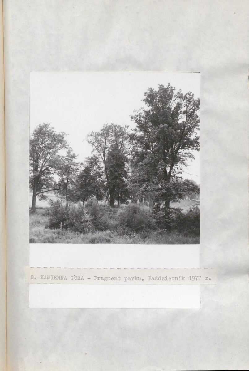 Ewidencja parkowa, skan nr 29