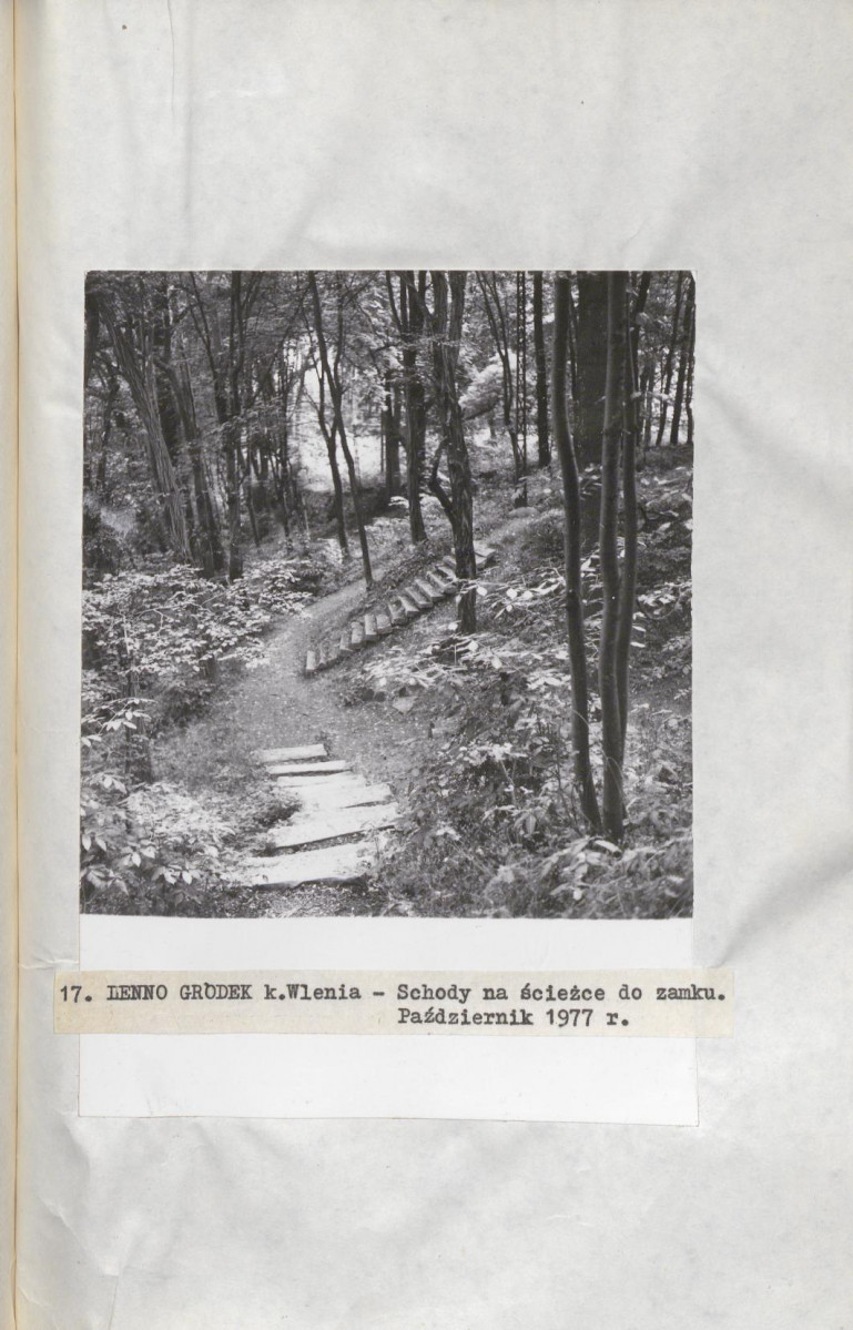 Ewidencja parkowa, skan nr 41