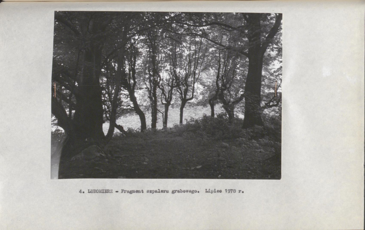 Ewidencja parkowa, skan nr 23