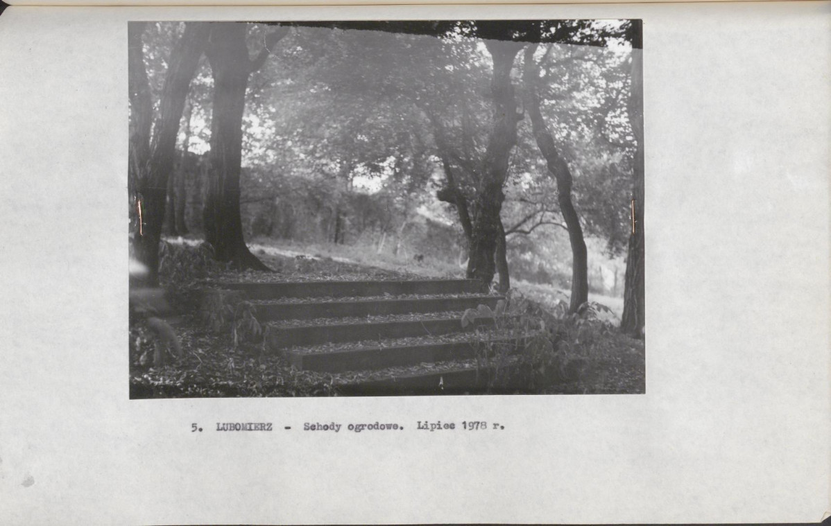 Ewidencja parkowa, skan nr 24