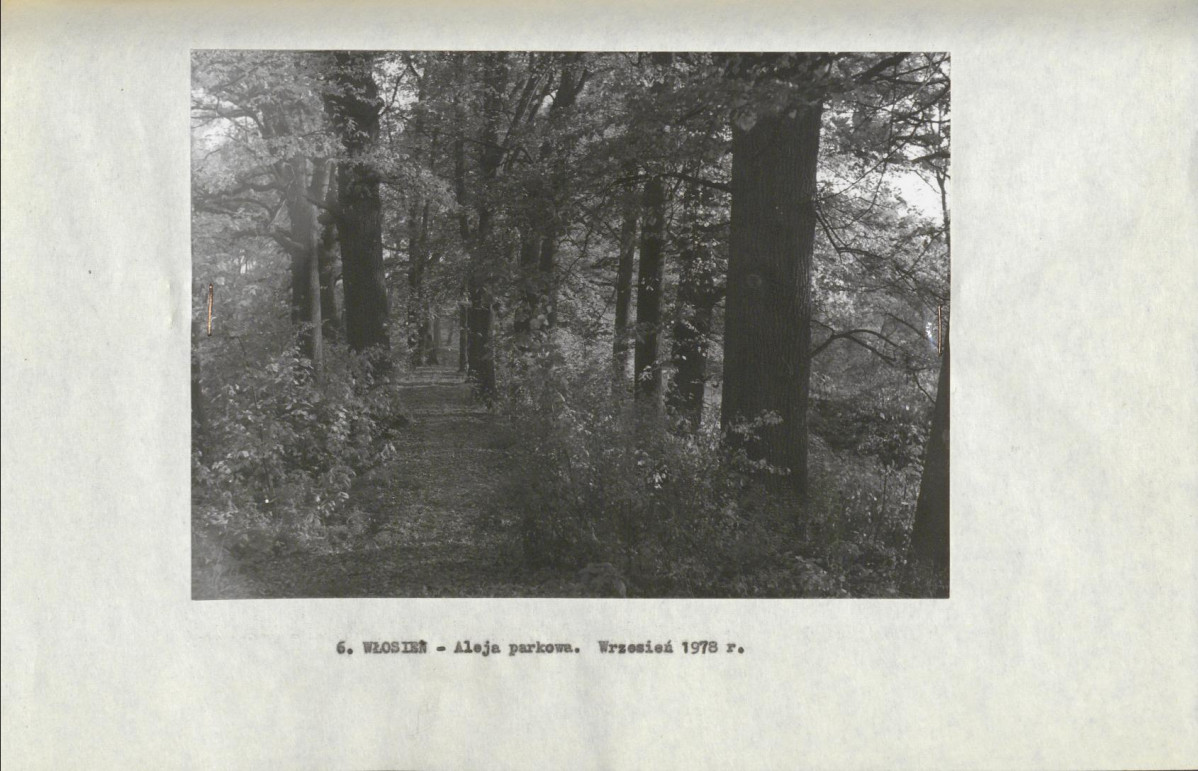 Ewidencja parkowa, skan nr 24