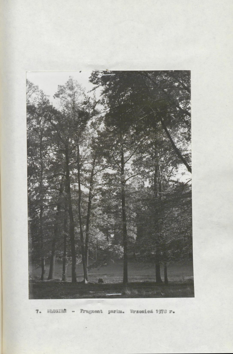 Ewidencja parkowa, skan nr 25