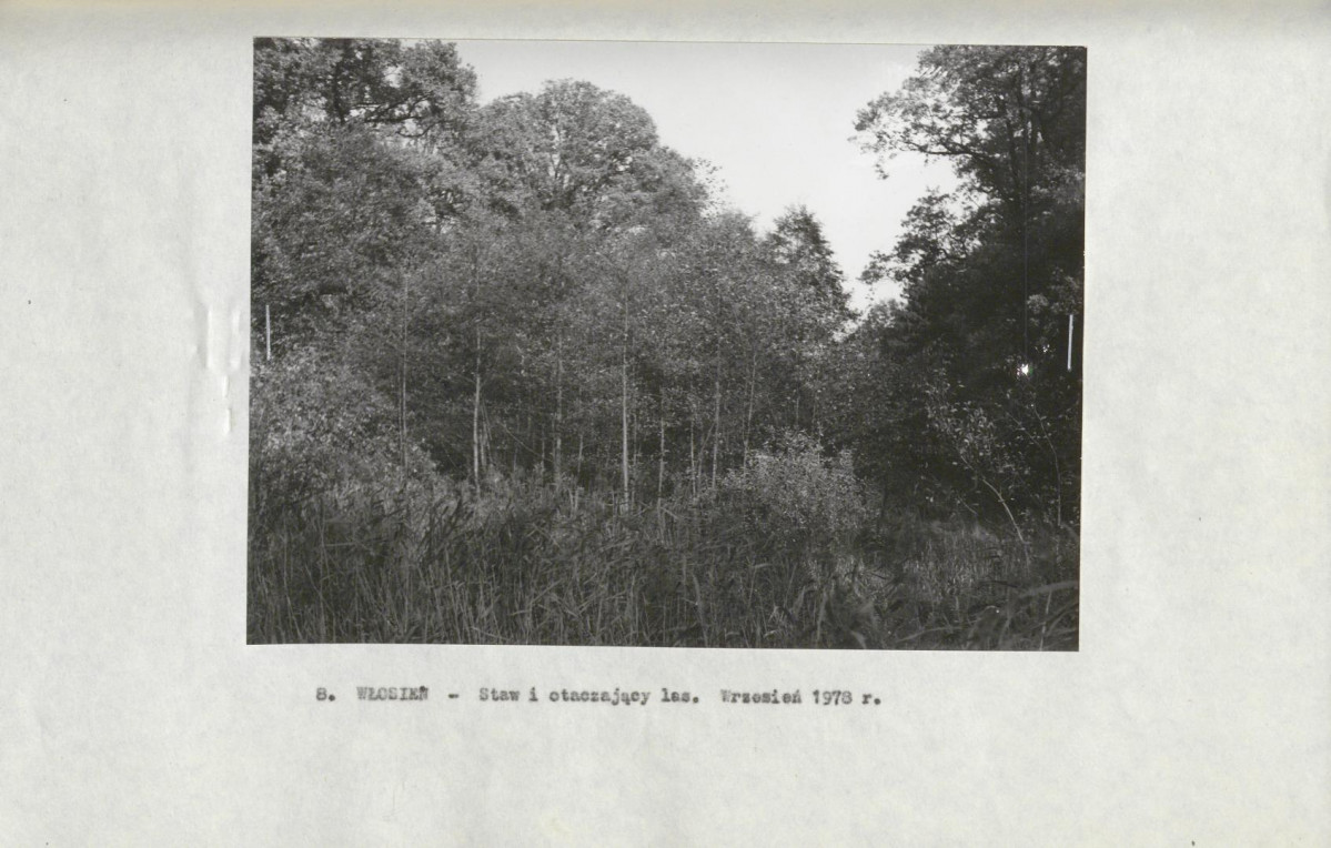 Ewidencja parkowa, skan nr 26