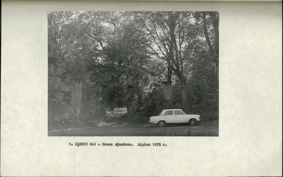 Ewidencja parkowa, skan nr 17