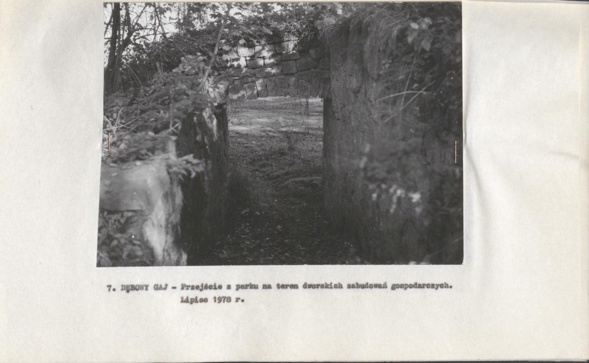 Ewidencja parkowa, skan nr 22