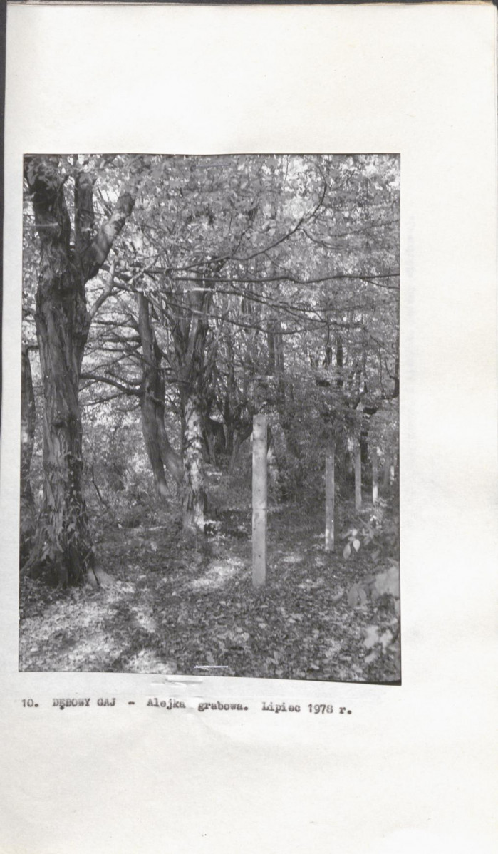 Ewidencja parkowa, skan nr 25