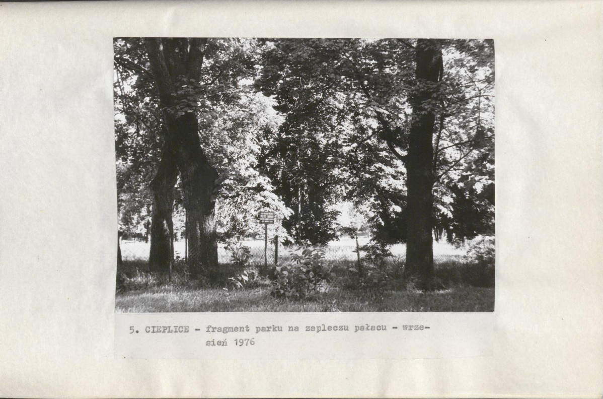 Ewidencja parkowa, skan nr 25