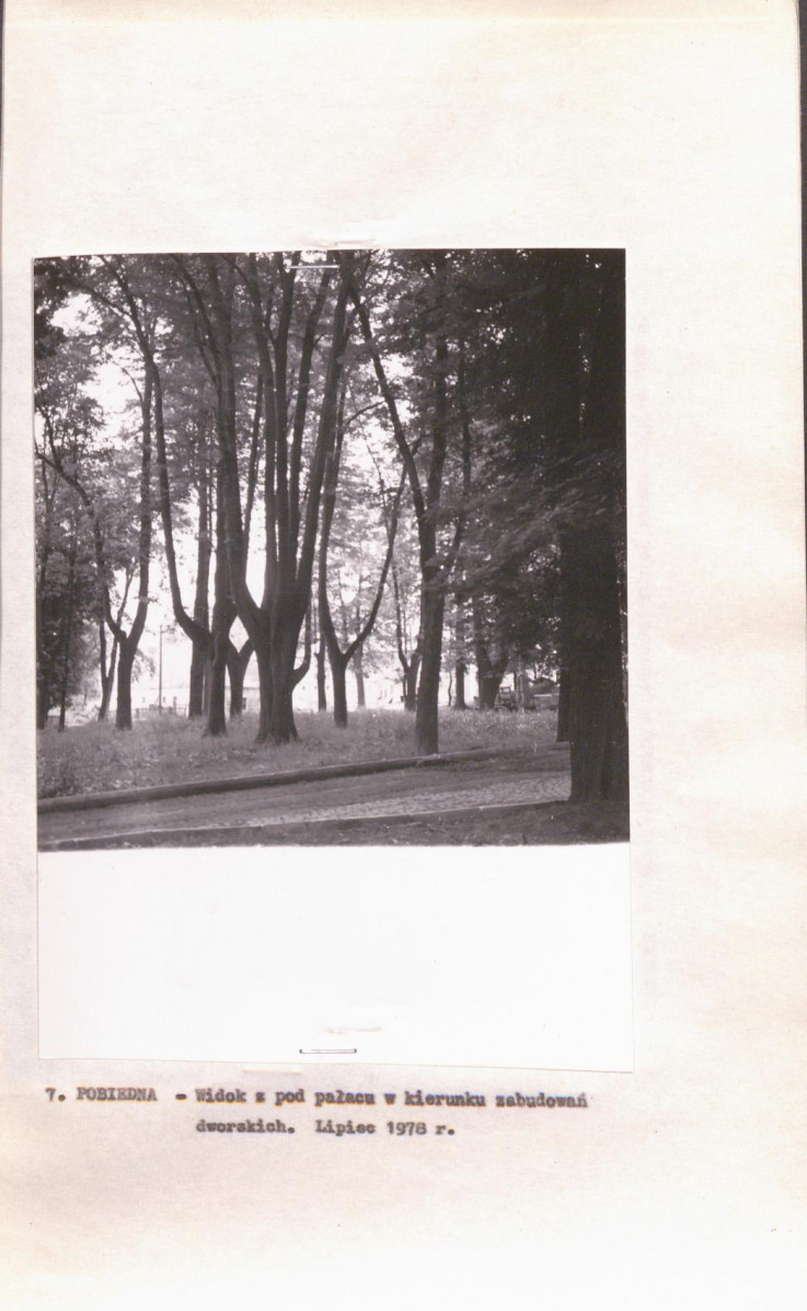 Ewidencja parkowa, skan nr 24
