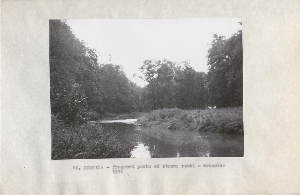 Ewidencja parkowa, skan nr 29