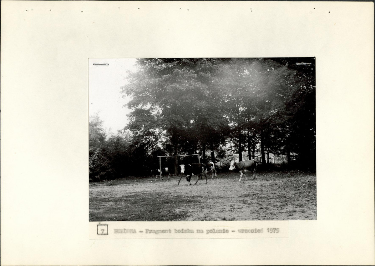 Ewidencja parkowa, skan nr 22